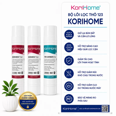Lõi 123 Korihome ( bao gồm 2 Sediment 1 Pre Cacbon)