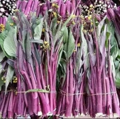 Hạt giống rau Cải ngồng ngọt đỏ (tím) thu hoạch lâu nhiều lần gói 5gr