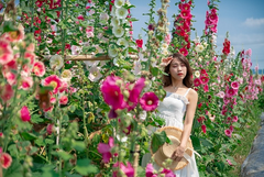 Hạt giống hoa Mãn Đính Hồng gói 100 hạt