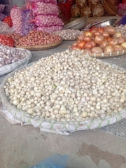 Hành tăm Nghệ An củ vừa, và nhỏ thơm ngon