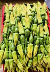 COMBO HẠT GIỐNG 8 LOẠI BẦU – BÍ – MƯỚP DỄ TRỒNG TỶ LỆ NẢY MẦM CAO – SIÊU SAI TRÁI – DỄ CHĂM SÓC