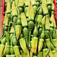 Hạt giống bí siêu nụ chất lượng cao gói 10gr (khoảng hơn 50 hạt)