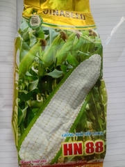 Hạt giống Ngô, bắp  Nếp Lai HN 88 Mới Dẻo Ngọt Bông To gói 500gr
