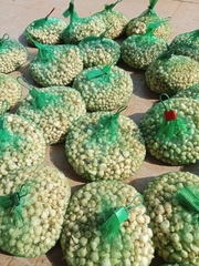 Hành tăm Nghệ An củ vừa, và nhỏ thơm ngon