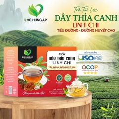 Trà Dây Thìa Canh Linh Chi