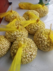 Hành tăm Nghệ An củ vừa, và nhỏ thơm ngon