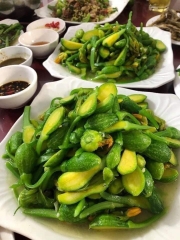 Hạt giống bí siêu nụ chất lượng cao gói 10gr (khoảng hơn 50 hạt)