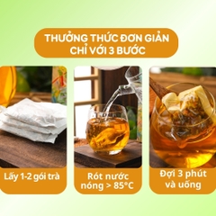 Trà Dây Thìa Canh Linh Chi