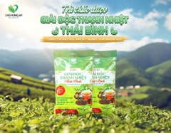 Trà Giải Độc Thanh Nhiệt Thái Bình 1kg (100gói x 10gr)