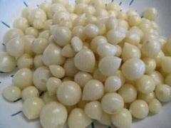 Tỏi cô đơn chọn nhặt từng củ chắc mẩy