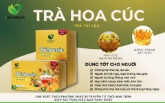 Trà hoa cúc túi lọc