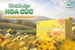 Trà hoa cúc túi lọc