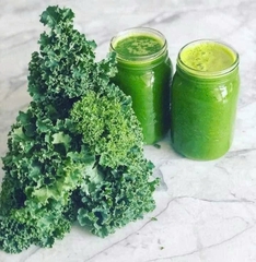 Hạt giống rau Cải  xoăn Kale