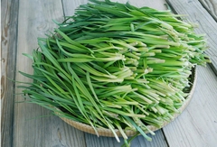 Hạt giống rau Hạt giống  hẹ