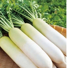 Hạt Giống Củ Cải Trắng Dễ Trồng gói 20gr