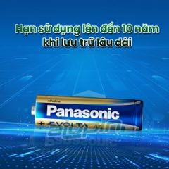 Pin Panasonic Evolta Premium Alkaline AA / LR6EG 1.5V (Vỉ 2 Viên) - Chính Hãng