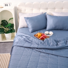 Bộ ga chun Goodnight Airsilk 3CT màu xanh than