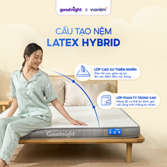 Nệm Goodnight Latex Hybrid (Rena)