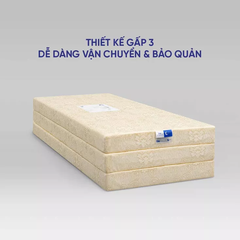 Nệm foam Goodnight Eva gấp 3 nâng đỡ dày 10cm