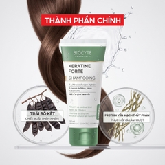 Combo 2 B12 Dầu gội hỗ trợ giảm gãy rụng tóc Keratine Forte Shampooing - Biocyte