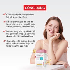 B17C Thực phẩm bảo vệ sức khỏe Hyaluronic Forte 300mg - Biocyte