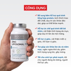 B18 Thực phẩm bảo vệ sức khỏe Zn Zinc Liposomal - Biocyte