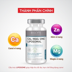 Combo 2 B20 Thực phẩm bảo vệ sức khỏe Cal/Mag/Zinc Liposomal - Biocyte