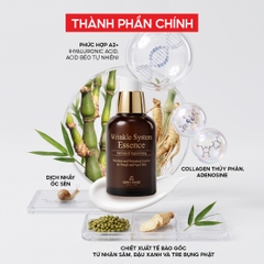 T30 Essence giúp giảm nhăn và săn chắc da Wrinkle System Essence - The Skin House