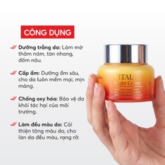 T60 Kem dưỡng H.A vitamin sáng da Vital Bright Cream - The Skin House