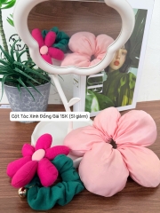 CỘT TÓC XINH ĐỒNG GIÁ 15K (3)