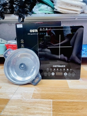 BẾP TỪ CẢM ỨNG OSTMAR KÈM NỒI (15)