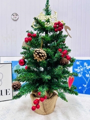 Cây Thông Noel 60cm Kèm Phụ Kiện Đèn Led Mẫu Mới