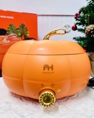 NỒI HẦM ĐIỆN HÌNH TRÁI BÍ LOẠI TO 5L (20)