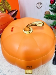NỒI HẦM ĐIỆN HÌNH TRÁI BÍ LOẠI TO 5L (20)