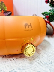 NỒI HẦM ĐIỆN HÌNH TRÁI BÍ LOẠI TO 5L (20)