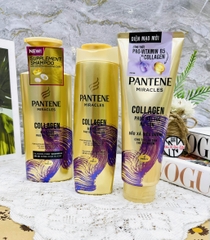CHAI DẦU GỘI PANTENE COLLAGEN 500ml PHỤC HỒI HƯ TỔN (TÍM)