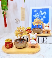 BỘ 4 MÓN CÂY TIỀN PHA LÊ , HỦ VÀNG VÀ MÈO KÈM ĐẾ , PHONG THUỶ MAY MẮN TÀI LỘC (10)