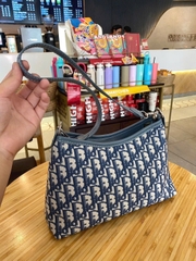 TÚI KẸP NÁCH CD 25Cm (10)