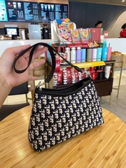 TÚI KẸP NÁCH CD 25Cm (10)