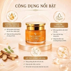 KEM FACE X3 PLUS NGÀY, MP ĐÔNG ANH, LẺ CTY 269K (15)