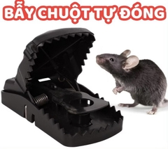Bẫy Chuột Thông Minh Bằng Nhựa Cực Hiệu Quả (1)