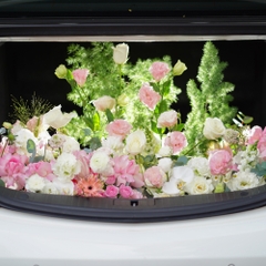 Trang Trí Cầu Hôn