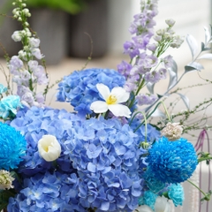 Bình Gốm Hoa Tươi cao cấp