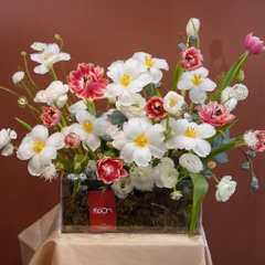 Hộp MIKA Hoa Tươi