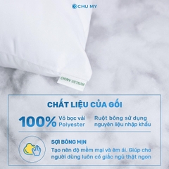 Thumbnail Gối Bông 3D CHU MY 3