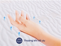 Thumbnail Nệm cao su Liên Á Classic 3