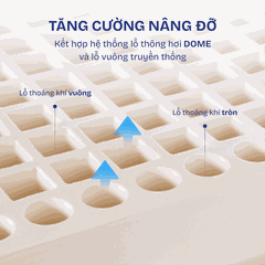 Thumbnail Nệm cao su Liên Á Classic 3