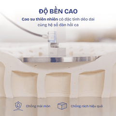 Thumbnail Nệm cao su Liên Á Classic 1