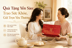 Quà Tặng Yến Sào: Trao Sức Khỏe, Gửi Trọn Yêu Thương
