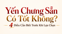 YẾN CHƯNG SẴN CÓ TỐT KHÔNG? 4 ĐIỀU CẦN BIẾT TRƯỚC KHI LỰA CHỌN